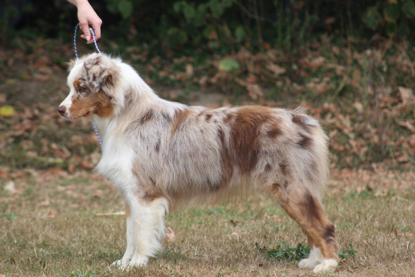 Blue Memories Voglio andare-in-sicilia