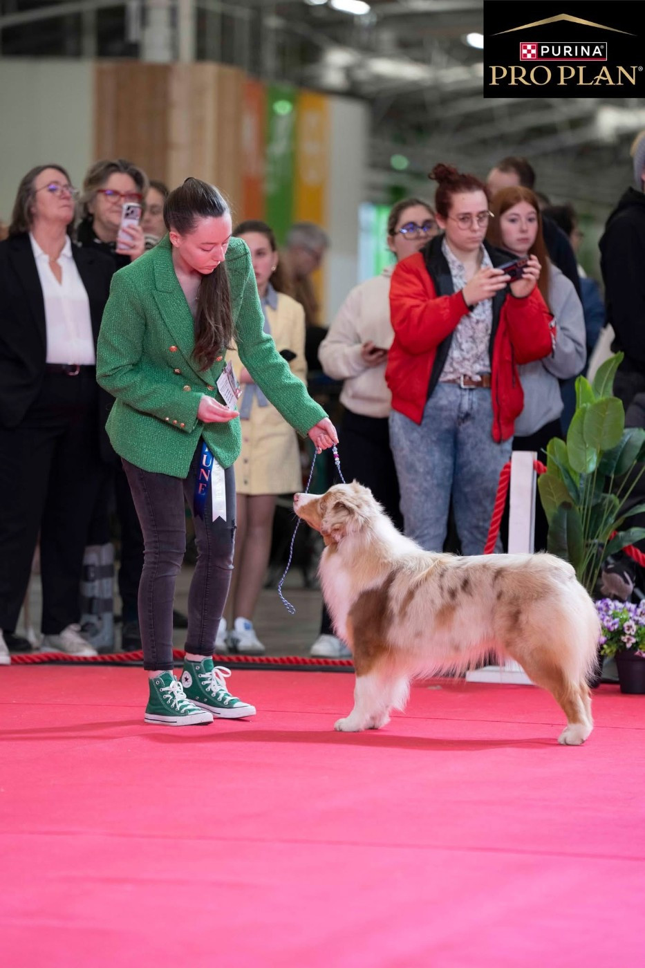 Blue Memories A-Touch-Of-Destiny